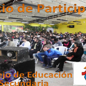 Consejo de Participación Liceal.